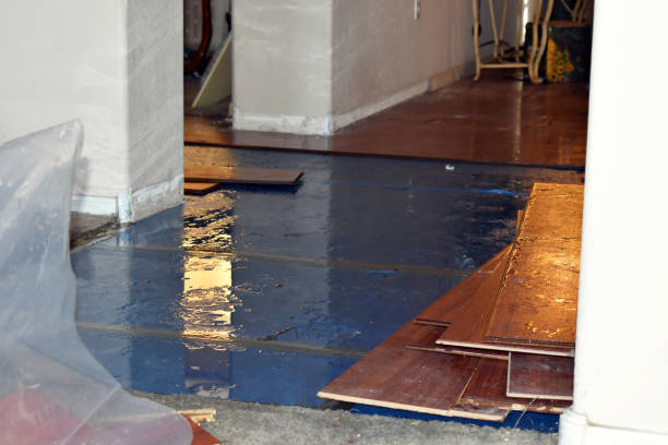 Professional Flood Cleanup technician working in Redford, MI